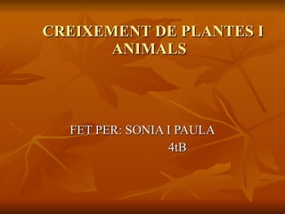 CREIXEMENT DE PLANTES I ANIMALS FET PER: SONIA I PAULA 4tB  