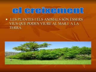 .LES PLANTES I ELS ANIMALS SÓN ÉSSERS VIUS QUE PODEN VIURE AL MAR I A LA TERRA. el creixement