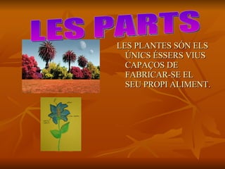 LES PLANTES SÓN ELS ÚNICS ÉSSERS VIUS CAPAÇOS DE FABRICAR-SE EL SEU PROPI ALIMENT. LES PARTS