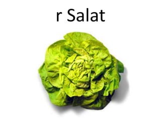 r Salat

 