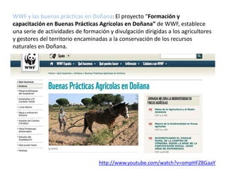 WWF y las buenas prácticas en Doñana: El proyecto “Formación y
capacitación en Buenas Prácticas Agrícolas en Doñana” de WWF, establece
una serie de actividades de formación y divulgación dirigidas a los agricultores
y gestores del territorio encaminadas a la conservación de los recursos
naturales en Doñana.

http://www.youtube.com/watch?v=ompHFZ8GaaY

 