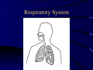 Respiratory System 