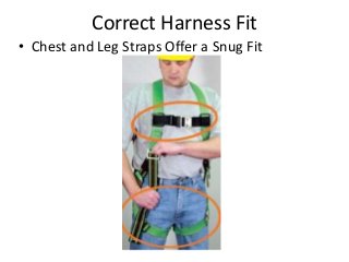 Correct Harness Fit
• Chest and Leg Straps Offer a Snug Fit
 