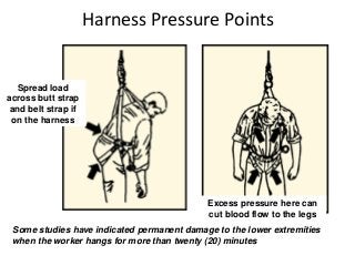 Harness Pressure Points
Spread load
across butt strap
and belt strap if
on the harness
Excess pressure here can
cut blood flow to the legs
Some studies have indicated permanent damage to the lower extremities
when the worker hangs for more than twenty (20) minutes
 