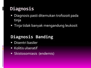 Diagnosis
 Diagnosis pasti ditemukan trofozoit pada
tinja
 Tinja tidak banyak mengandung leukosit
Diagnosis Banding
 Disentri basiler
 Kolitis ulseratif
 Skistosomiasis (endemis)
 