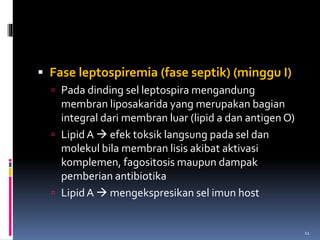  Fase leptospiremia (fase septik) (minggu I)
 Pada dinding sel leptospira mengandung
membran liposakarida yang merupakan bagian
integral dari membran luar (lipid a dan antigen O)
 Lipid A  efek toksik langsung pada sel dan
molekul bila membran lisis akibat aktivasi
komplemen, fagositosis maupun dampak
pemberian antibiotika
 Lipid A  mengekspresikan sel imun host
11
 