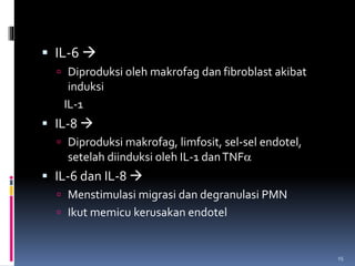  IL-6 
 Diproduksi oleh makrofag dan fibroblast akibat
induksi
IL-1
 IL-8 
 Diproduksi makrofag, limfosit, sel-sel endotel,
setelah diinduksi oleh IL-1 danTNF
 IL-6 dan IL-8 
 Menstimulasi migrasi dan degranulasi PMN
 Ikut memicu kerusakan endotel
15
 