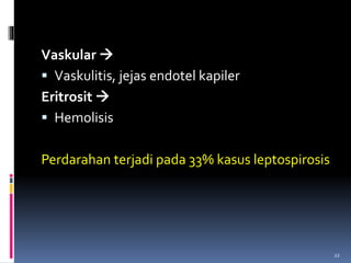 Vaskular 
 Vaskulitis, jejas endotel kapiler
Eritrosit 
 Hemolisis
Perdarahan terjadi pada 33% kasus leptospirosis
22
 