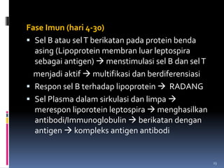 Fase Imun (hari 4-30)
 Sel B atau selT berikatan pada protein benda
asing (Lipoprotein membran luar leptospira
sebagai antigen)  menstimulasi sel B dan selT
menjadi aktif  multifikasi dan berdiferensiasi
 Respon sel B terhadap lipoprotein  RADANG
 Sel Plasma dalam sirkulasi dan limpa 
merespon liporotein leptospira  menghasilkan
antibodi/Immunoglobulin  berikatan dengan
antigen  kompleks antigen antibodi
23
 