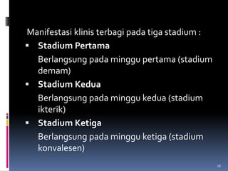Manifestasi klinis terbagi pada tiga stadium :
 Stadium Pertama
Berlangsung pada minggu pertama (stadium
demam)
 Stadium Kedua
Berlangsung pada minggu kedua (stadium
ikterik)
 Stadium Ketiga
Berlangsung pada minggu ketiga (stadium
konvalesen)
26
 