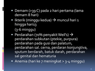  Demam (>39 C) pada 2 hari pertama (lama
demam 8 hari)
 Ikterik (minggu kedua)  muncul hari 1
hingga hari13
(3-6 minggu)
 Perdarahan (70% penyakitWeil’s) 
perdarahan subkutan (ptekie, purpura)
perdarahan pada gusi dan palatum,
perdarahan sal. cerna, perdaran konjungtiva,
sputum berdarah, batuk darah, perdarahan
sal genital dan hematuria
 Anemia (hari ke 7 meningkat > 3-4 minggu)
27
 