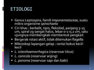 ETIOLOGI
 Genus Leptospira, famili treponemataceae, suatu
mikro organisme spirochaeta
 Ciri khas : berbelit, tipis, fleksibel, panjang 5-15
um, spiral yg sangat halus, lebar 0-1-0,2 um, satu
ujungnya membengkak membentuk pengkait
 Bergerak rotasi aktif, tidak ditemukan flagella
 Mikroskop lapangan gelap : rantai kokus kecil-
kecil
 L. icterohaemorrhagica (reservoar tikus)
 L. canicola (reservoar anjing)
 L. ponoma (reservoar sapi dan babi)
3
 