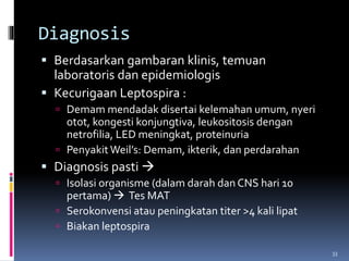 Diagnosis
 Berdasarkan gambaran klinis, temuan
laboratoris dan epidemiologis
 Kecurigaan Leptospira :
 Demam mendadak disertai kelemahan umum, nyeri
otot, kongesti konjungtiva, leukositosis dengan
netrofilia, LED meningkat, proteinuria
 Penyakit Weil’s: Demam, ikterik, dan perdarahan
 Diagnosis pasti 
 Isolasi organisme (dalam darah dan CNS hari 10
pertama)  Tes MAT
 Serokonvensi atau peningkatan titer >4 kali lipat
 Biakan leptospira
33
 