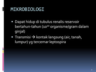 MIKROBIOLOGI
 Dapat hidup di tubulus renalis reservoir
bertahun-tahun (1010 organisme/gram dalam
ginjal)
 Transmisi  kontak langsung (air, tanah,
lumpur) yg tercemar leptospira
8
 