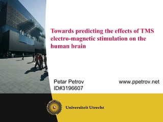 Towards predicting the effects of TMS  electro-magnetic stimulation on the human brain Petar Petrov www.ppetrov.net ID#3196607 