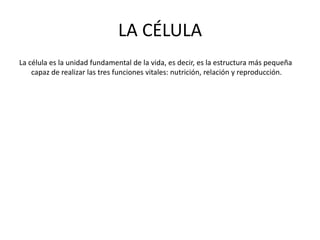LA CÉLULA
La célula es la unidad fundamental de la vida, es decir, es la estructura más pequeña
capaz de realizar las tres funciones vitales: nutrición, relación y reproducción.