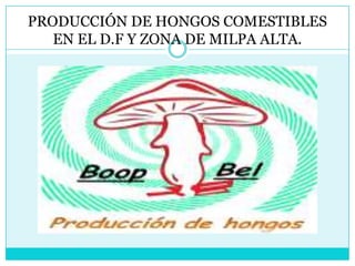 PRODUCCIÓN DE HONGOS COMESTIBLES
   EN EL D.F Y ZONA DE MILPA ALTA.
 