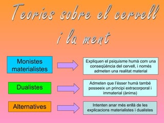 Teories sobre el cervell i la ment Monistes materialistes Expliquen el psiquisme humà com una conseqüència del cervell, i només admeten una realitat material Dualistes Admeten que l’ésser humà també posseeix un principi extracorporal i immaterial (ànima) Alternatives Intenten anar més enllà de les explicacions materialistes i dualistes 