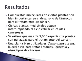    Compuéstos moleculares de ciertas plantas son
    bien importantes en el desarrollo de fármacos
    para el tratamiento de cáncer.
   Ciertas plantas medicinales actúan
    interrumpiendo el ciclo celular en células
    cancerosas.
   Se estima que mas de 3,000 especies de plantas
    son utilizadas para el tratamiento del cáncer.
   Una planta bien utilizada es Catharantus roseus,
    la cual sirve para tratar linfomas, leucemia y
    otros tipos de cánceres.
 