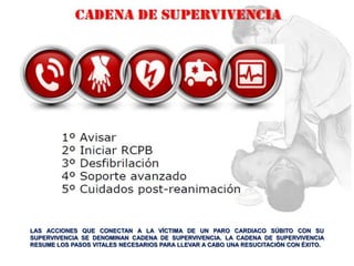 LAS ACCIONES QUE CONECTAN A LA VÍCTIMA DE UN PARO CARDIACO SÚBITO CON SU
SUPERVIVENCIA SE DENOMINAN CADENA DE SUPERVIVENCIA. LA CADENA DE SUPERVIVENCIA
RESUME LOS PASOS VITALES NECESARIOS PARA LLEVAR A CABO UNA RESUCITACIÓN CON ÉXITO.
 