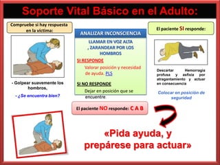 Soporte Vital Básico en el Adulto:
Compruebe si hay respuesta
      en la víctima:                                            El paciente SI responde:
                              ANALIZAR INCONSCIENCIA
                                   LLAMAR EN VOZ ALTA
                                  , ZARANDEAR POR LOS
                                         HOMBROS
                             SI RESPONDE
                                 Valorar posición y necesidad
                                                                Descartar      Hemorragia
                                 de ayuda. PLS                  profusa y asfixia por
                                                                atragantamiento y actuar
- Golpear suavemente los     SI NO RESPONDE                     en consecuencia
        hombros,
                                 Dejar en posición que se       Colocar en posición de
  - ¿Se encuentra bien?          encuentre.                           seguridad

                             El paciente NO responde: C A B




                                    «Pida ayuda, y
                                prepárese para actuar»
 