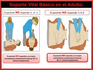 Soporte Vital Básico en el Adulto:
El paciente   NO responde: A - B - C        El paciente NO responde: C-A-B




   El paciente NO responde y no respira       El paciente NO responde y no respira
normalmente compresiones torácicas 30 / 2     normalmente compresiones torácicas
           Ininterrumpidamente.                    30 / 2 ininterrumpidamente
 