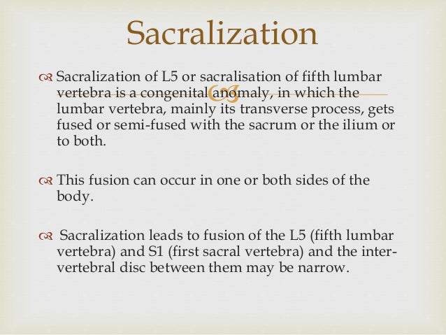 Pp for lumbarization and sacralization by Dr Dhruv Taneja ...