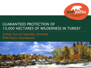 Paanajärvi NP  ©   Viktor Gritsuk   GUARANTEED PROTECTION OF  10,000  HECTARES OF WILDERNESS IN TURKEY Zoltán Kun & Hajnalka Schmidt PAN Parks Foundation 