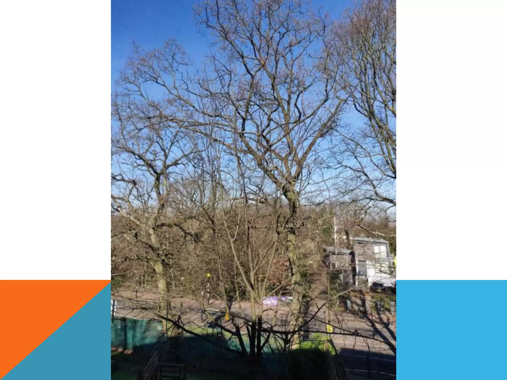 Past, Present & Future SoW