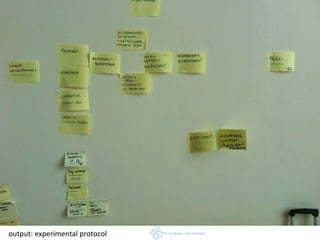 output: experimental protocol
 