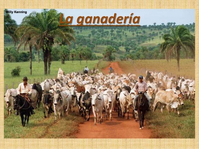 Resultado de imagen para la ganaderia
