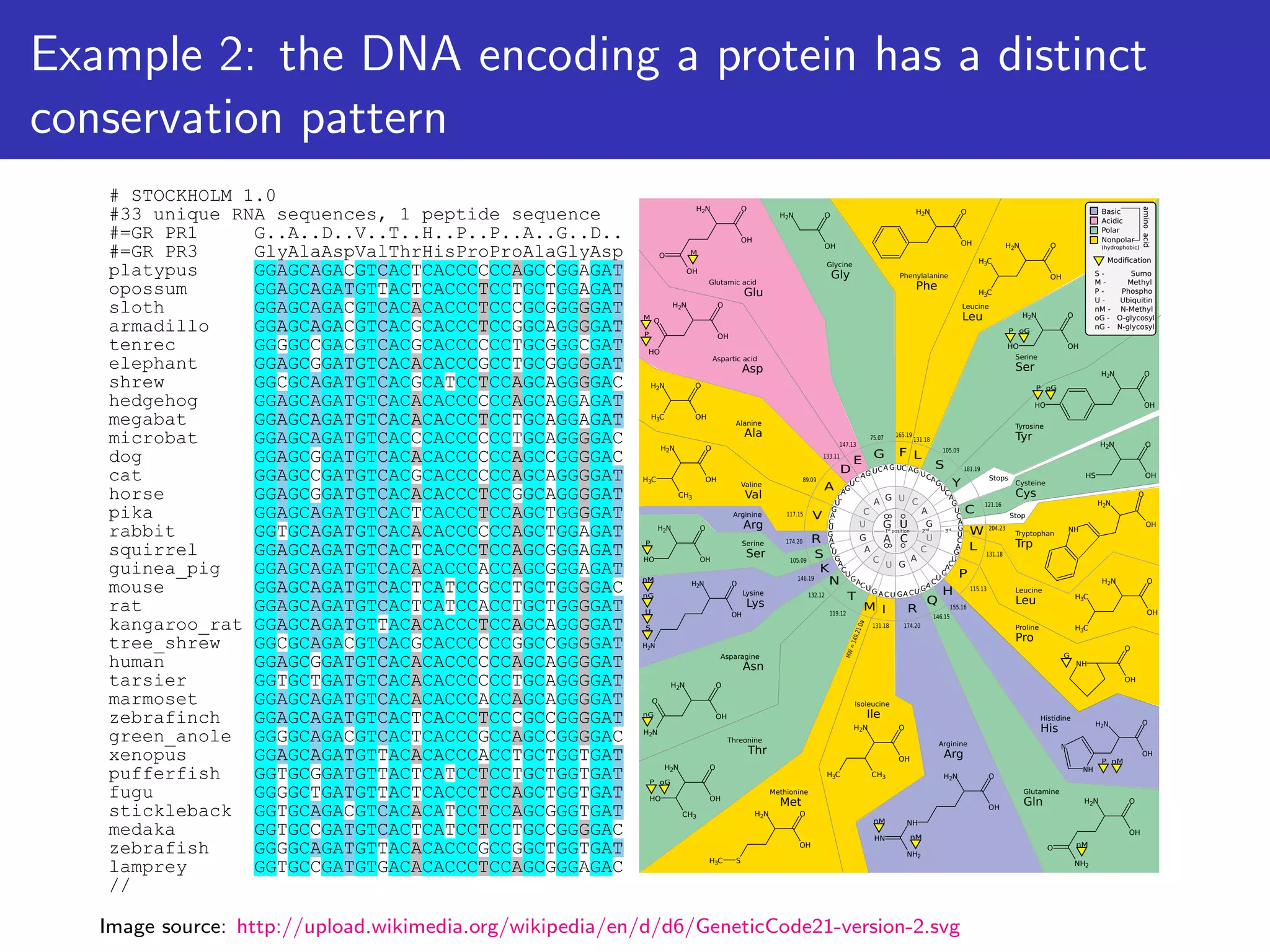 ppgardner-lecture04-annotation-comparativegenomics.pdf