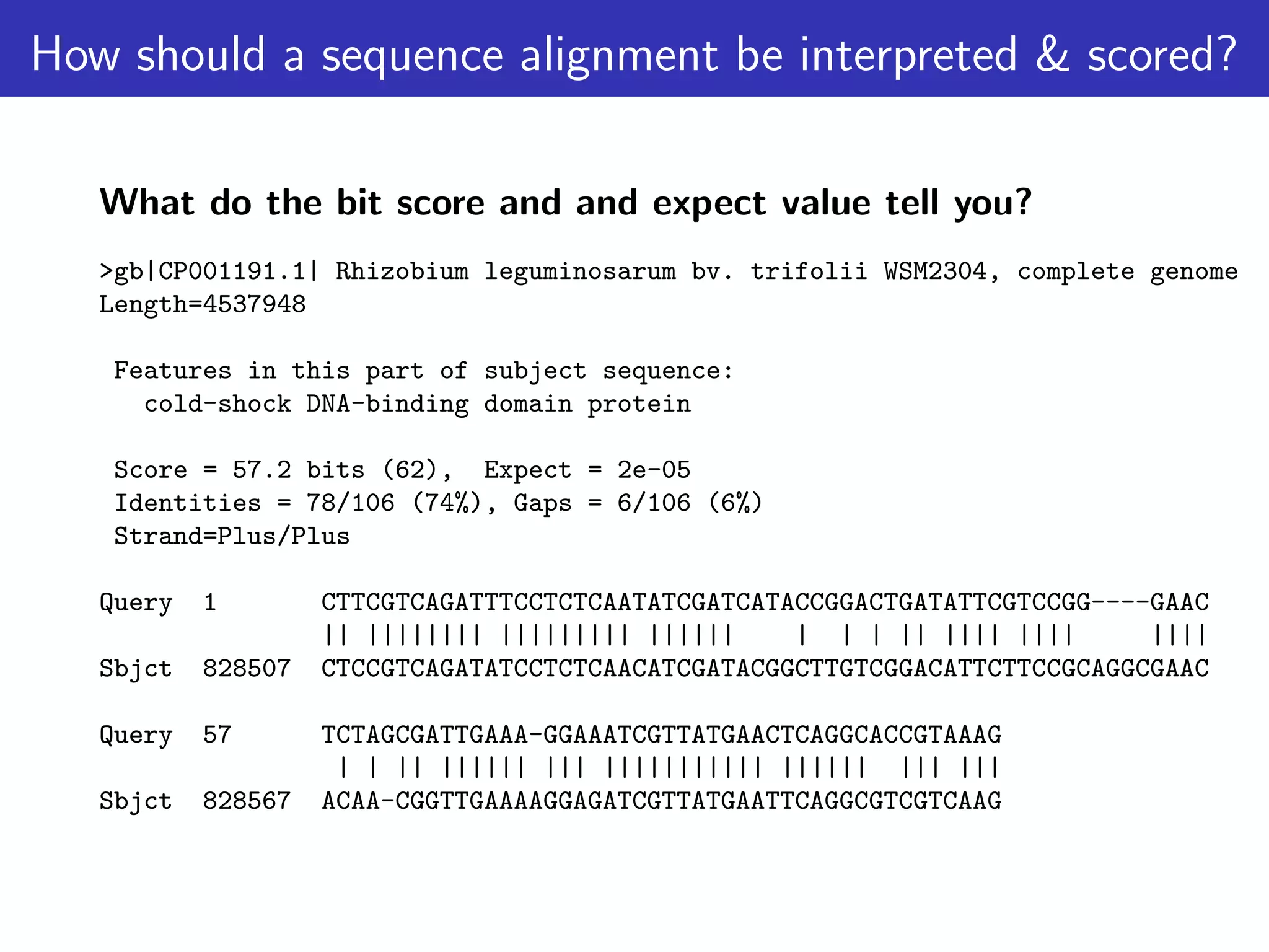 How should a sequence alignment be interpreted & scored?
What do the bit score and and expect value tell you?
>gb|CP001191.1| Rhizobium leguminosarum bv. trifolii WSM2304, complete genome
Length=4537948
Features in this part of subject sequence:
cold-shock DNA-binding domain protein
Score = 57.2 bits (62), Expect = 2e-05
Identities = 78/106 (74%), Gaps = 6/106 (6%)
Strand=Plus/Plus
Query 1 CTTCGTCAGATTTCCTCTCAATATCGATCATACCGGACTGATATTCGTCCGG----GAAC
|| |||||||| ||||||||| |||||| | | | || |||| |||| ||||
Sbjct 828507 CTCCGTCAGATATCCTCTCAACATCGATACGGCTTGTCGGACATTCTTCCGCAGGCGAAC
Query 57 TCTAGCGATTGAAA-GGAAATCGTTATGAACTCAGGCACCGTAAAG
| | || |||||| ||| ||||||||||| |||||| ||| |||
Sbjct 828567 ACAA-CGGTTGAAAAGGAGATCGTTATGAATTCAGGCGTCGTCAAG
 
