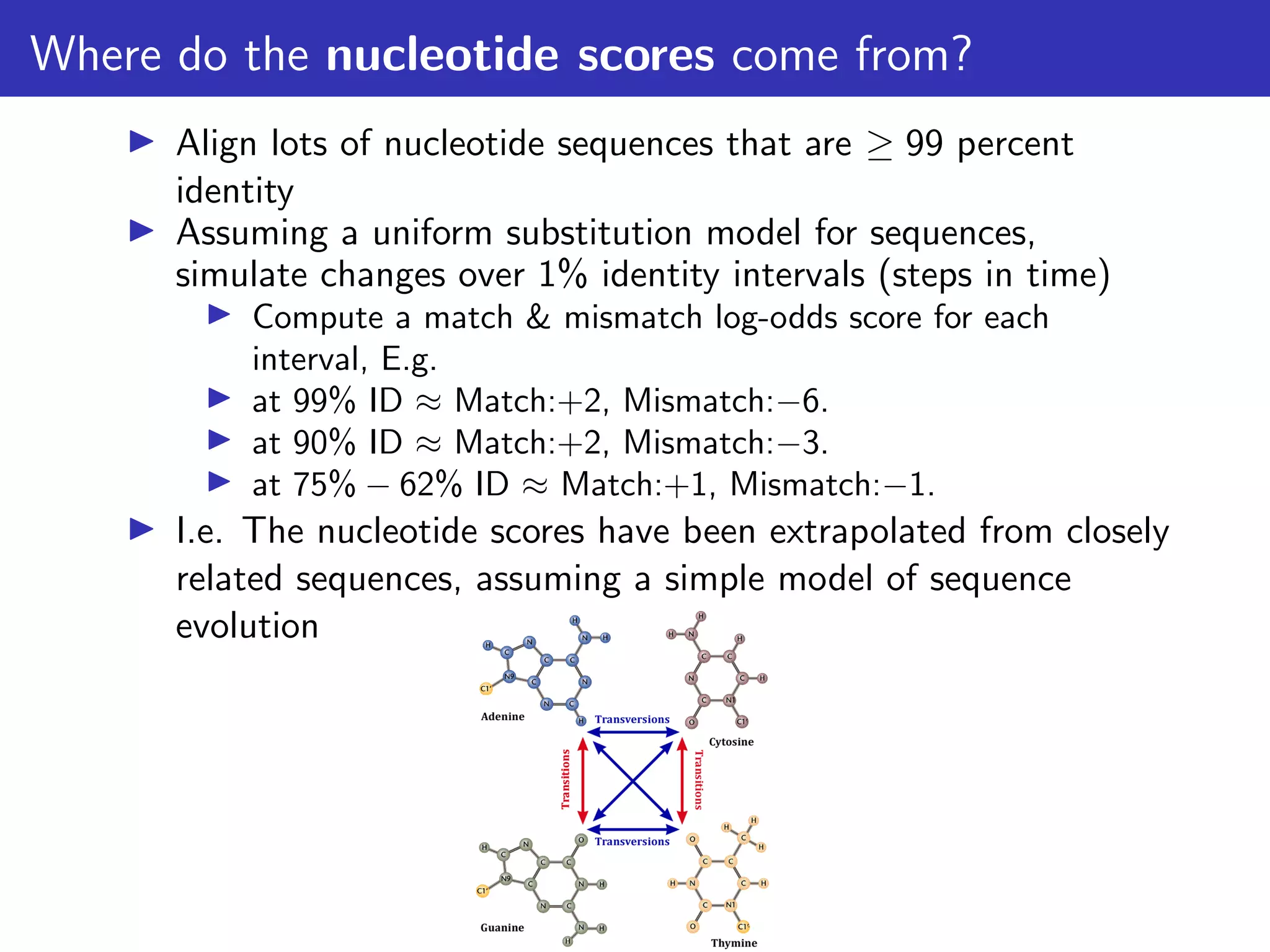 Where do the nucleotide scores come from?
▶ Align lots of nucleotide sequences that are ≥ 99 percent
identity
▶ Assuming a uniform substitution model for sequences,
simulate changes over 1% identity intervals (steps in time)
▶ Compute a match & mismatch log-odds score for each
interval, E.g.
▶ at 99% ID ≈ Match:+2, Mismatch:−6.
▶ at 90% ID ≈ Match:+2, Mismatch:−3.
▶ at 75% − 62% ID ≈ Match:+1, Mismatch:−1.
▶ I.e. The nucleotide scores have been extrapolated from closely
related sequences, assuming a simple model of sequence
evolution
 