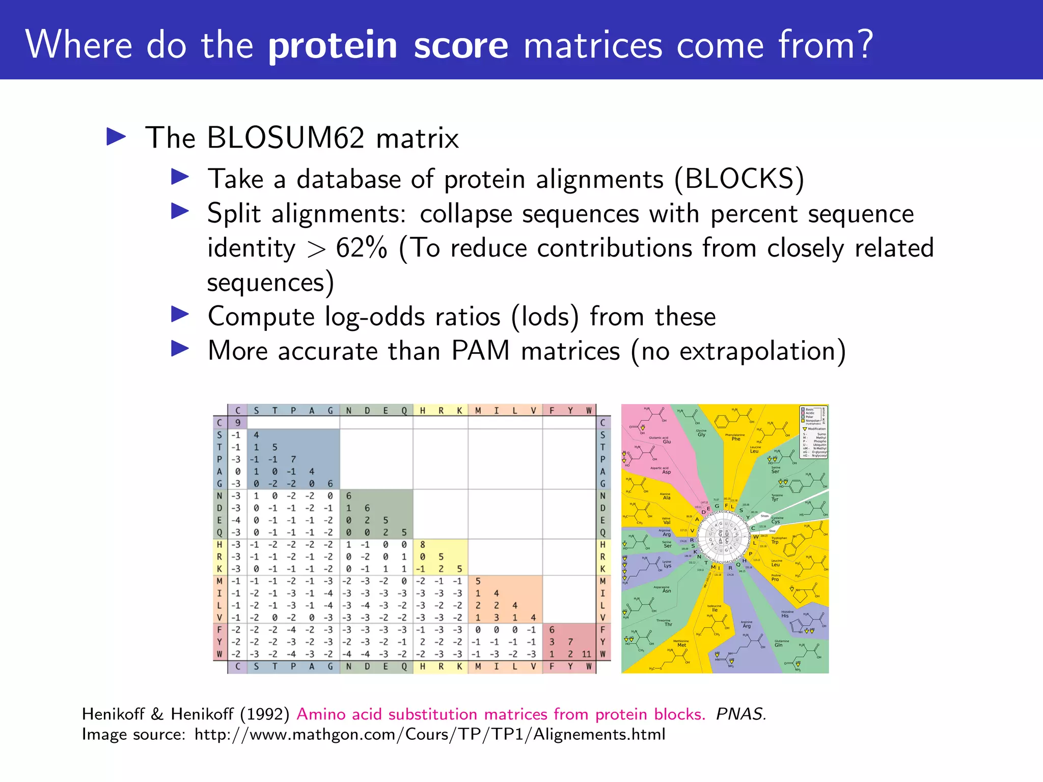 Where do the protein score matrices come from?
▶ The BLOSUM62 matrix
▶ Take a database of protein alignments (BLOCKS)
▶ Split alignments: collapse sequences with percent sequence
identity > 62% (To reduce contributions from closely related
sequences)
▶ Compute log-odds ratios (lods) from these
▶ More accurate than PAM matrices (no extrapolation)
G
A
A
A
A
A
G
G
G
G
C
C
C
C
U
U
U
U
UC AG
UC
A
G
U
C
A
G
U
C
A
G
U
C
A
G
U
C
A
G
U
C
A
G
U
C
A
G
U
C
A
G
U
C
A
G
U
C
A
G
U
C
A
G
U
C
A
G
U
C
AG
U
C
AG
UCA
G
P
S
U
nG
nG
oG
oG
oG
G
P
P
P
P
P
nM
nM
M
M
nM
nM
nM
Phenylalanine
Phe
Leucine
Leu
Leucine
Leu
Proline
Pro
Histidine
His
Glutamine
Gln
Isoleucine
Ile
Methionine
Met
Threonine
Thr
Asparagine
Asn
Lysine
Lys
Arginine
Arg
Arginine
Arg
Valine
Val
Alanine
Ala
Glutamic acid
Glu
Aspartic acid
Asp
Glycine
Gly
Serine
Ser
Serine
Ser
Tyrosine
Tyr
Cysteine
Cys
Tryptophan
Trp
Stops
Stop
E
G F L
S
S
Y
C
W
L
P
H
R
R
Q
I
M
T
N
K
V
A
D
89.09
75.07
174.20
174.20
146.19
165.19
133.11
117.15
147.13
146.15
155.16
115.13
105.09
105.09
131.18
132.12
MW
=
149.
21
Da
131.18
119.12
204.23
131.18
181.19
121.16
HN
NH2
NH
H2N
OH
O
H2N
C
H3 OH
O
H2N
O
H2N
OH
O
O
HO
H2N
OH
O
HS
H2N
OH
O
H2N
O
NH2
OH
O
O
OH
H2N
OH
O
H2N
OH
O
NH
H2N
OH
O
N
C
H3 CH3
H2N
OH
O
C
H3
C
H3
H2N
OH
O
C
H3
C
H3
H2N
OH
O
H2N
H2N
OH
O
C
H3 S
H2N
OH
O
H2N
OH
O
NH
OH
O
H2N
HO OH
O
H2N
HO OH
O
H2N
HO
CH3
OH
O
NH
H2N
OH
O
HO
H2N
OH
O
H2N
C
H3
CH3
OH
O
Basic
Acidic
Polar
Nonpolar
(hydrophobic)
S -
M -
P -
U -
nM -
oG -
nG -
Sumo
Methyl
Phospho
Ubiquitin
N-Methyl
O-glycosyl
N-glycosyl
Modiﬁcation
amino
acid
2nd
1st position 3rd
U
C
Henikoff & Henikoff (1992) Amino acid substitution matrices from protein blocks. PNAS.
Image source: http://www.mathgon.com/Cours/TP/TP1/Alignements.html
 