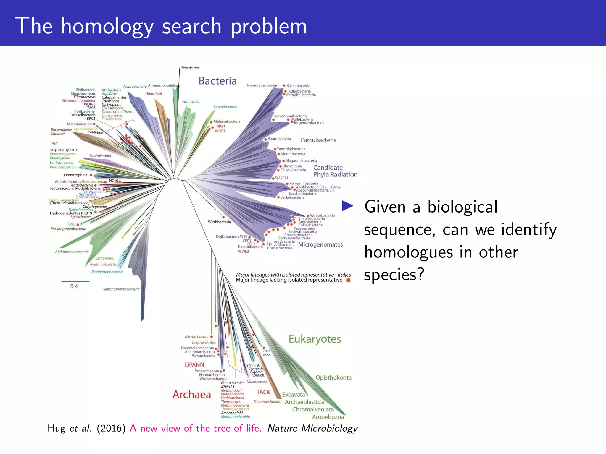 The homology search problem
▶ Given a biological
sequence, can we identify
homologues in other
species?
Hug et al. (2016) A new view of the tree of life. Nature Microbiology
 