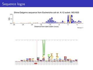 Sequence logos
Shine-Dalgarno sequence from Escherichia coli str. K-12 substr. MG1655
Distance from start codon (nucs)
WebLogo 3.1
0.0
1.0
2.0
bits
-30
G
C
A
U
U
C
A
C
U
-25
A
C
U
A
C
U
C
A
U
C
A
U
G
C
A
U
-20
C
A
U
C
U
A
G
C
U
A
-15
U
A
C
G
U
A
C
U
A
U
C
G
A
C
G
A
-10
A
GA
GU
G
A
U
G
A
C
G
U
A
-5
C
G
U
A
G
U
C
A
C
U
G
AA
C
U
U
A
C
0
AUGU
C
G
AU
G
C
A
5
G
C
U
A
G
C
AC
U
AU
A
 