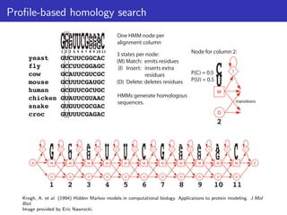 Profile-based homology search
Krogh, A. et al. (1994) Hidden Markov models in computational biology. Applications to protein modeling. J Mol
Biol.
Image provided by Eric Nawrocki.
 