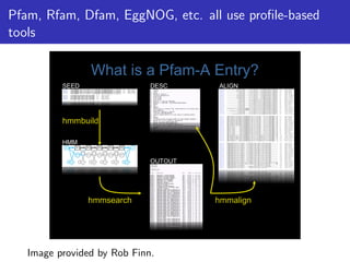 Pfam, Rfam, Dfam, EggNOG, etc. all use profile-based
tools
What is a Pfam-A Entry?
hmmsearch
hmmbuild
hmmalign
SEED
HMM
OUTOUT
ALIGN
DESC
Image provided by Rob Finn.
 