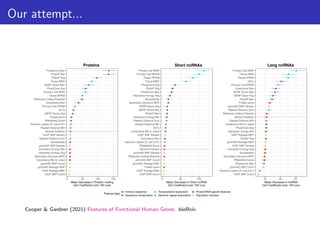 Our attempt...
●
●
●
●
●
●
●
●
●
●
●
●
●
●
●
●
●
●
●
●
●
●
●
●
●
●
●
●
●
●
1kGP SNP Count
1kGP Average MAF
gnomAD Average MAF
gnomAD SNP Count
Covariance Min E−value
Secondary Structure MFE
Interaction Energy Avg
Interaction Energy Min
gnomAD SNP Density
Accessibility
Repeat Distance Sum
1kGP SNP Density
Neutral Predictor
Repeat Distance Min
Genomic copies (E−val<0.01)
RNAalifold Score
Fickett score
GERP Score Avg
GC%
Primary Cell RPKM
Covariance Max
RNAcode Coding Potential
Tissue RPKM
Primary Cell MRD
PhastCons Avg
GERP Score Max
Tissue MRD
PhyloP Avg
PhyloP Max
PhastCons Max
0 50 100 150
Mean Decrease in Protein−coding
Gini Coefficient over 100 runs
●
●
●
●
●
●
●
●
●
●
●
●
●
●
●
●
●
●
●
●
●
●
●
●
●
●
●
●
●
●
1kGP SNP Count
1kGP Average MAF
Fickett score
gnomAD Average MAF
gnomAD SNP Count
RNAcode Coding Potential
gnomAD SNP Density
Neutral Predictor
RNAalifold Score
Genomic copies (E−val<0.01)
Covariance Max
1kGP SNP Density
Covariance Min E−value
GC%
Repeat Distance Min
Repeat Distance Sum
Interaction Energy Min
PhyloP Max
GERP Score Max
GERP Score Avg
Secondary Structure MFE
Accessibility
Interaction Energy Avg
PhastCons Max
PhyloP Avg
PhastCons Avg
Tissue MRD
Tissue RPKM
Primary Cell RPKM
Primary Cell MRD
0 50 100
Mean Decrease in Short ncRNA
Gini Coefficient over 100 runs
●
●
●
●
●
●
●
●
●
●
●
●
●
●
●
●
●
●
●
●
●
●
●
●
●
●
●
●
●
●
1kGP SNP Count
Genomic copies (E−val<0.01)
gnomAD SNP Count
PhastCons Max
RNAalifold Score
Secondary Structure MFE
Accessibility
Interaction Energy Avg
1kGP SNP Density
gnomAD Average MAF
PhyloP Avg
1kGP Average MAF
Interaction Energy Min
PhastCons Avg
Covariance Min E−value
Repeat Distance Min
Neutral Predictor
RNAcode Coding Potential
Repeat Distance Sum
gnomAD SNP Density
Fickett score
PhyloP Max
GERP Score Avg
GERP Score Max
Covariance Max
Primary Cell RPKM
GC%
Tissue RPKM
Tissue MRD
Primary Cell MRD
20 40 60
Mean Decrease in lncRNA
Gini Coefficient over 100 runs
Feature type
●
●
●
●
●
●
Intrinsic sequence
Sequence conservation
Transcriptome expression
Genomic repeat association
Protein/RNA specific features
Population variation
Proteins Short ncRNAs Long ncRNAs
Cooper & Gardner (2021) Features of Functional Human Genes. bioRxiv.
 