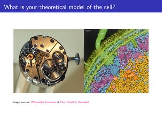 What is your theoretical model of the cell?
Image sources: Wikimedia Commons & Prof. David S. Goodsell
 