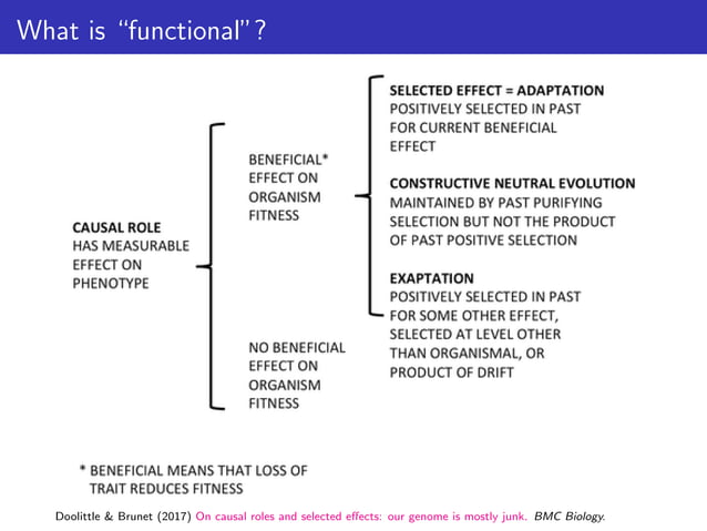 ppgardner-lecture07-genome-function.pdf