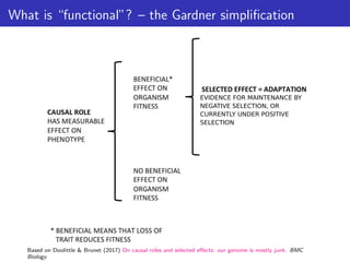 What is “functional”? – the Gardner simplification
EVIDENCE FOR MAINTENANCE BY
NEGATIVE SELECTION, OR
CURRENTLY UNDER POSITIVE
SELECTION
Based on Doolittle & Brunet (2017) On causal roles and selected effects: our genome is mostly junk. BMC
Biology.
 