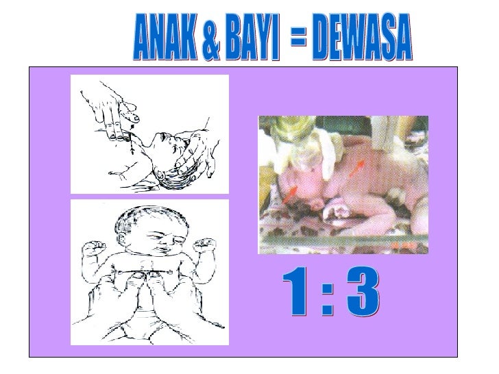 Ppgd Awam
