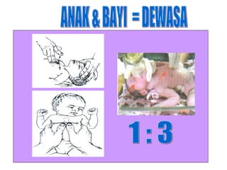 ANAK & BAYI  = DEWASA 1 : 3 