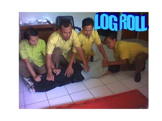LOG ROLL 