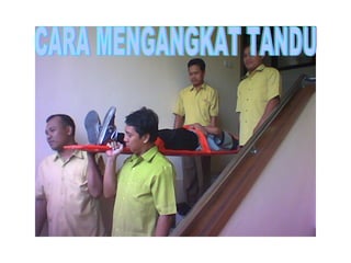 CARA MENGANGKAT TANDU 