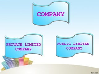 COMPANYCOMPANY
PUBLIC LIMITED
COMPANY
PUBLIC LIMITED
COMPANY
PRIVATE LIMITED
COMPANY
PRIVATE LIMITED
COMPANY
 