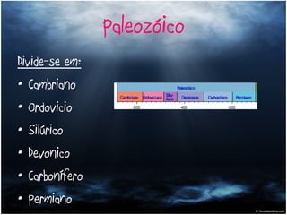 Paleozóico Divide-se em: Cambriano Ordovicio Silúrico Devonico Carbonífero Permiano 