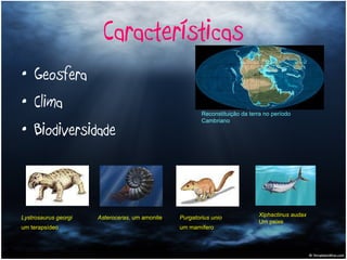 Características Geosfera Clima Biodiversidade Reconstituição da terra no período Cambriano Asteroceras , um amonite   Lystrosaurus georgi um terapsídeo   Purgatorius unio um mamífero   Xiphactinus audax Um peixe  